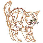 Cats Outline