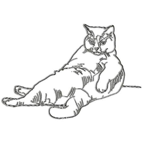 Cats Outline