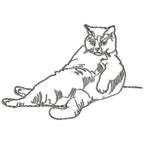 Cats Outline