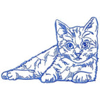 Cats Outline