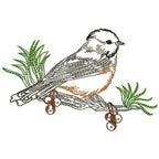 Chickadee Birds