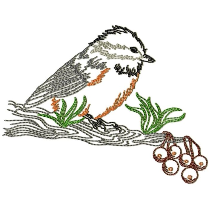 Chickadee Birds