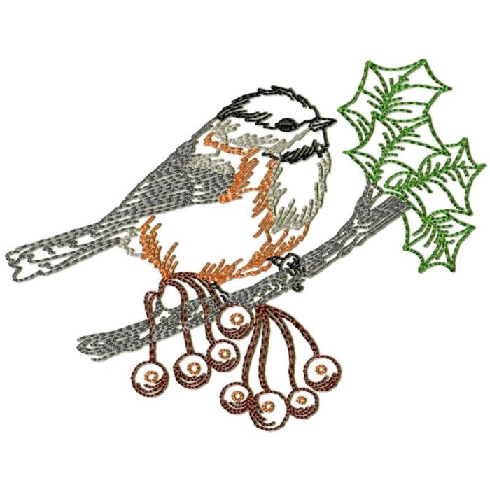 Chickadee Birds