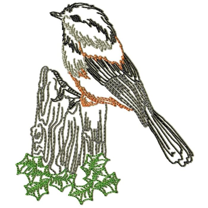 Chickadee Birds