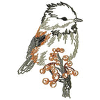 Chickadee Birds