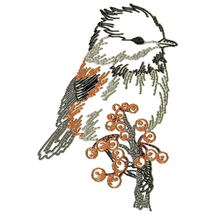 Chickadee Birds