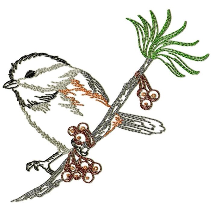 Chickadee Birds