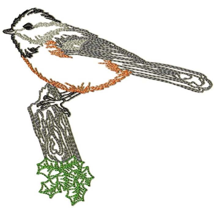 Chickadee Birds