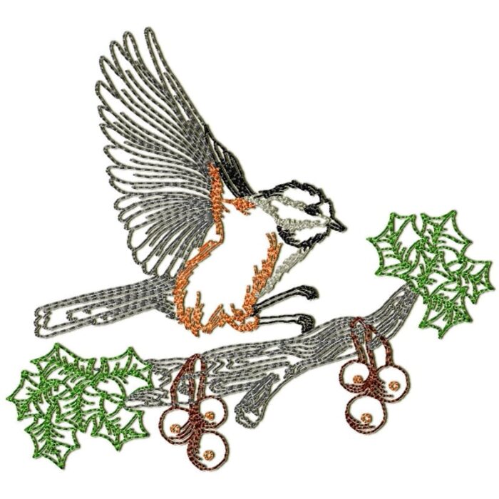 Chickadee Birds