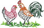 Chickens Fancy Colour Line