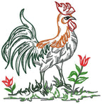 Chickens Fancy Colour Line