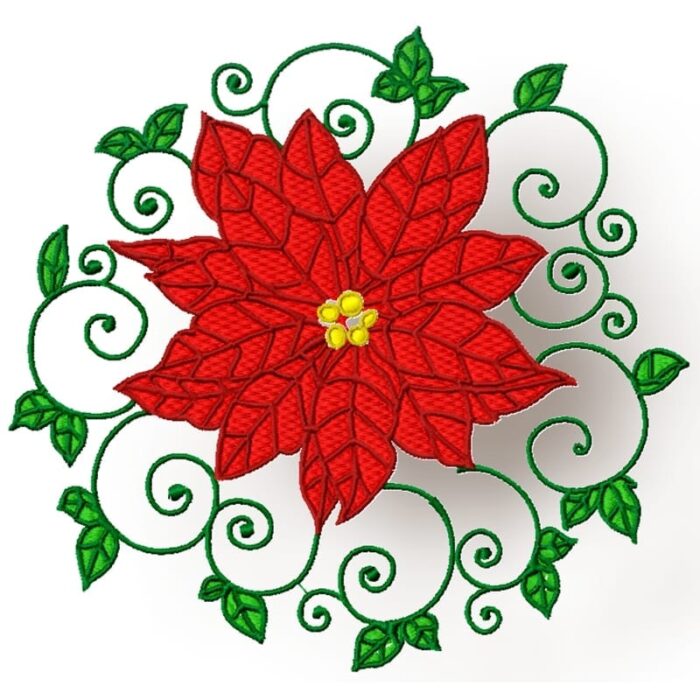 Christmas Poinsettia