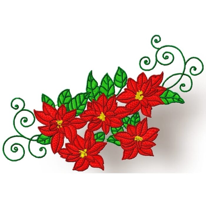 Christmas Poinsettia