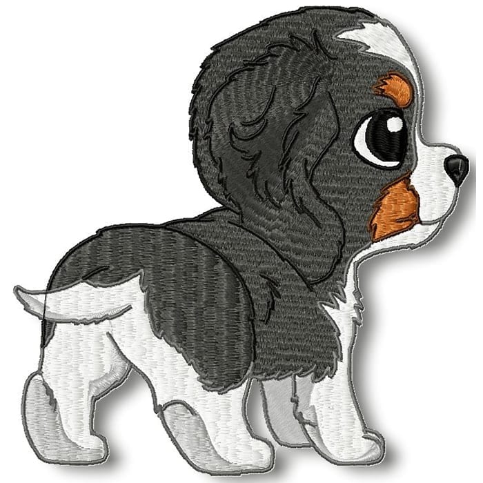 Cute Baby Cavalier