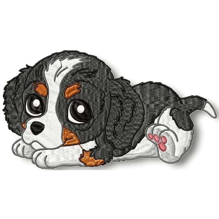 Cute Baby Cavalier