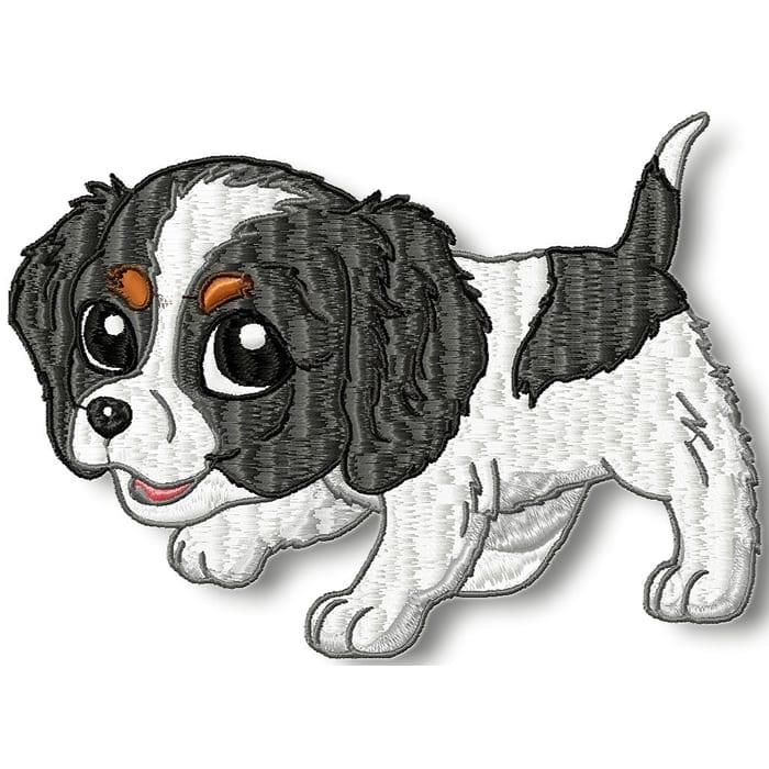 Cute Baby Cavalier