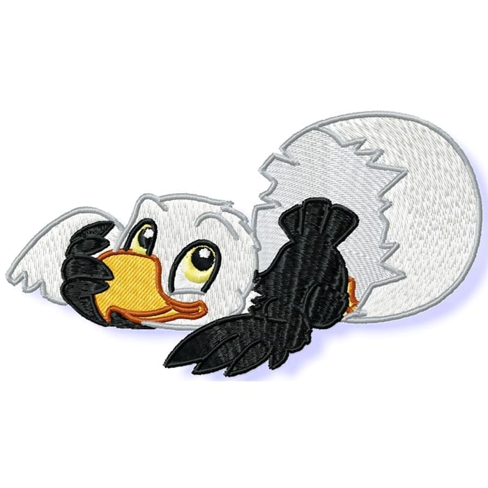Cute Baby Eagle