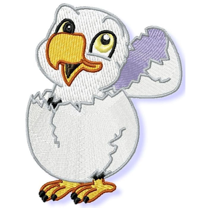Cute Baby Eagle