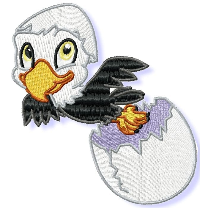Cute Baby Eagle