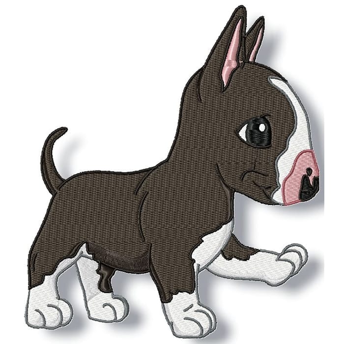 Cute Baby English Bull Terrier