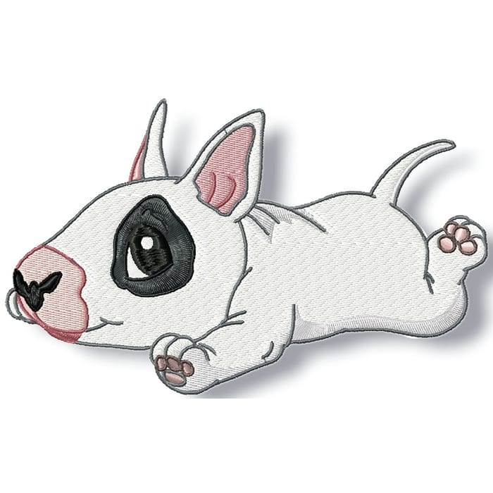 Cute Baby English Bull Terrier