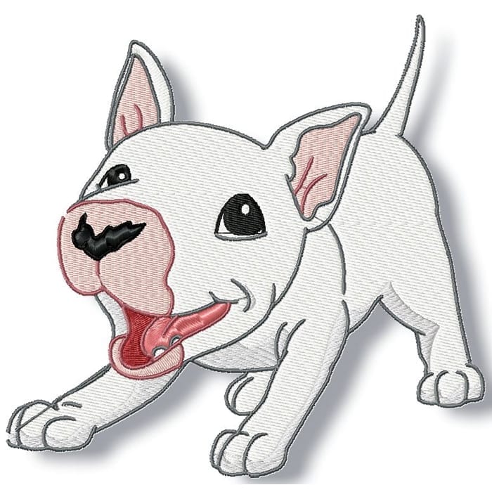 Cute Baby English Bull Terrier