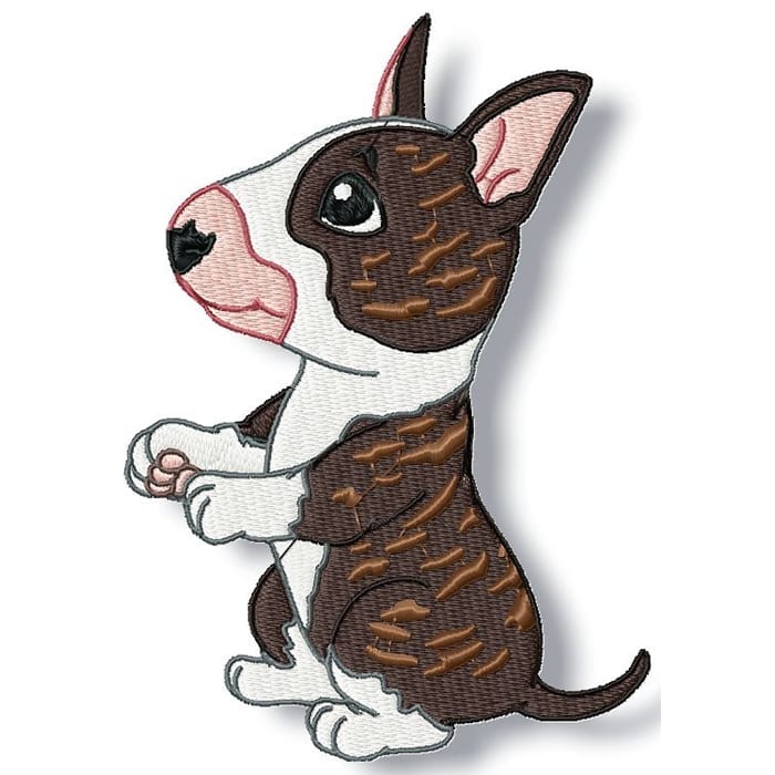 Cute Baby English Bull Terrier