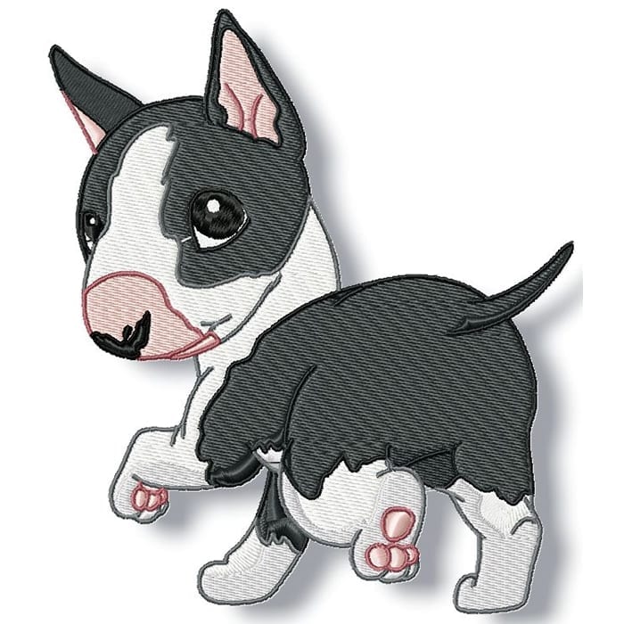 Cute Baby English Bull Terrier