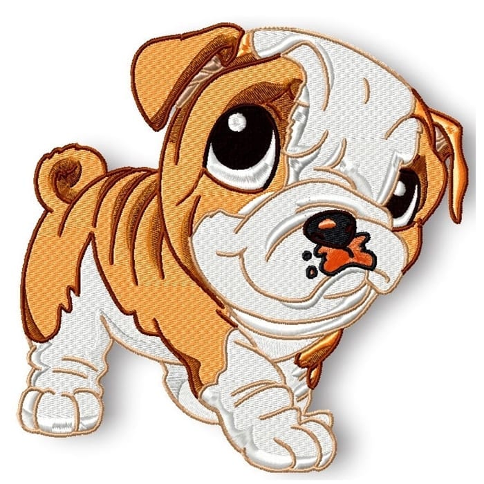 Cute Baby English Bulldog