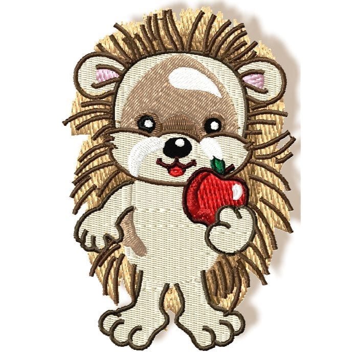 Cute Baby Hedgehog