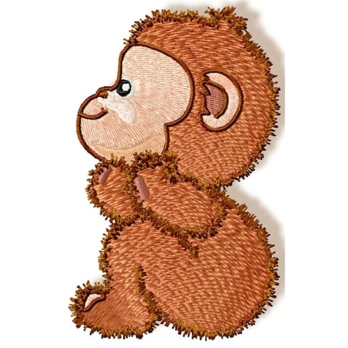 Cute Baby Monkey