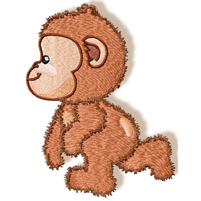 Cute Baby Monkey