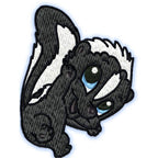 Cute Baby Skunk