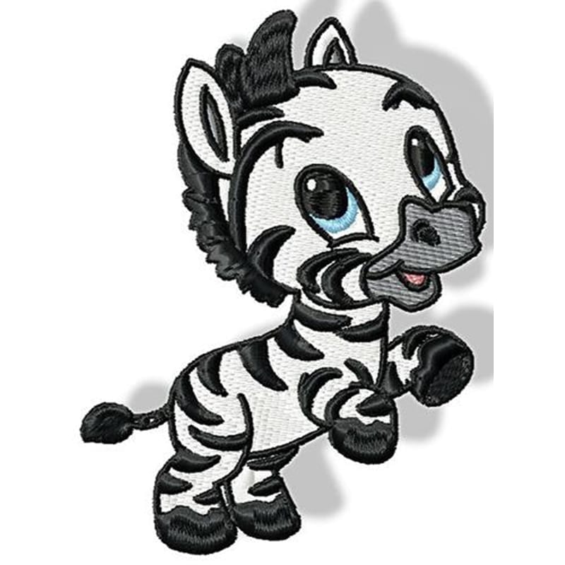 Cute Baby Zebra