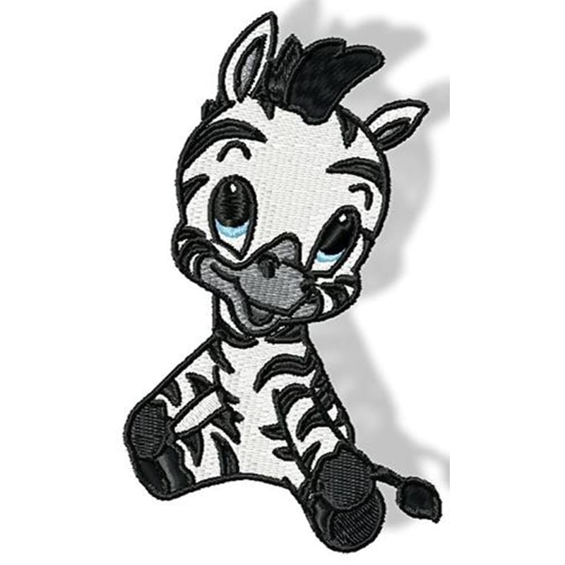 Cute Baby Zebra