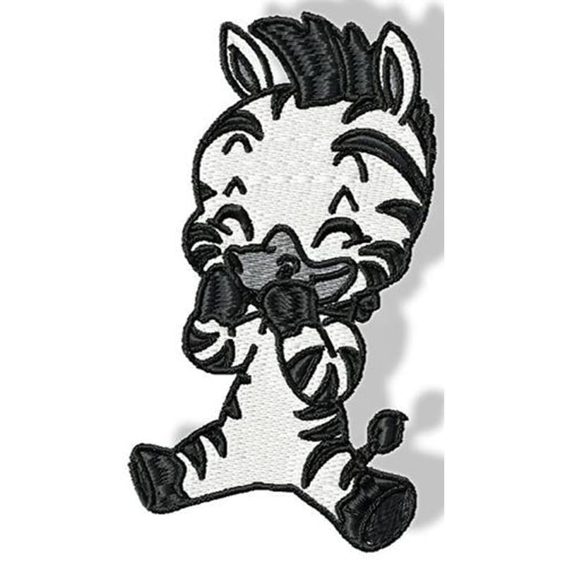 Cute Baby Zebra