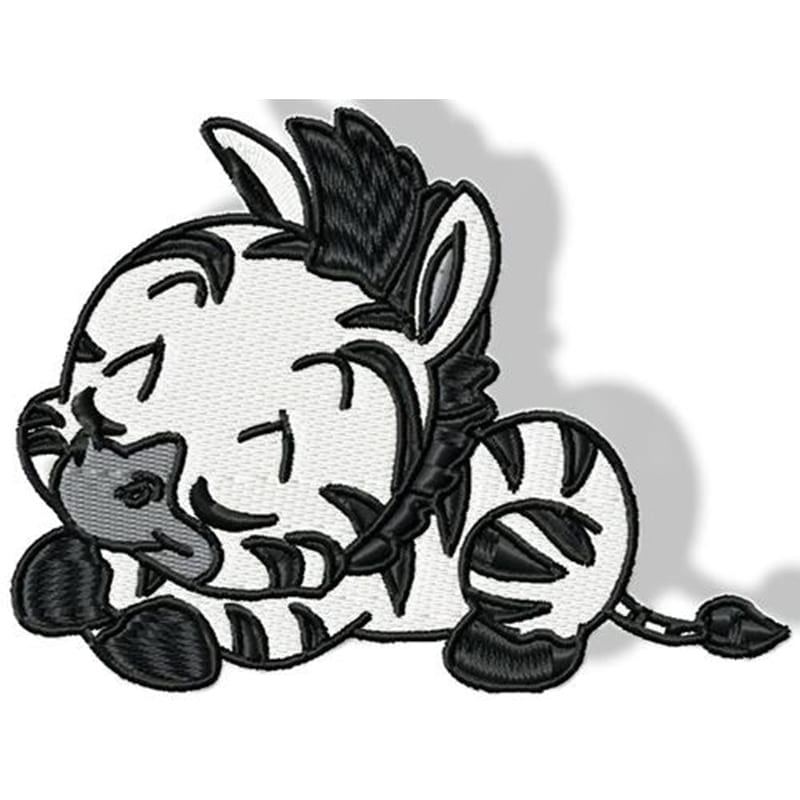 Cute Baby Zebra