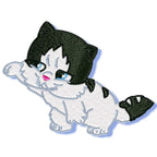 Cute Kittens