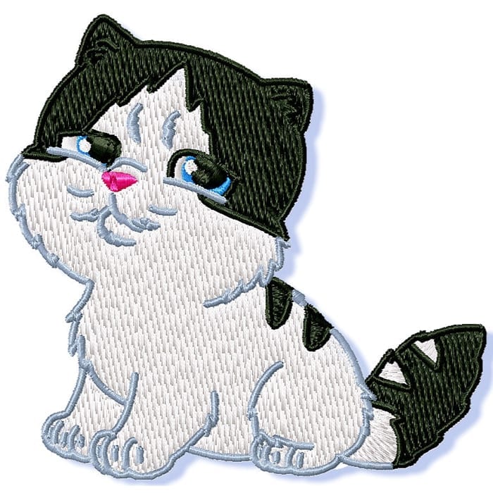 Cute Kittens