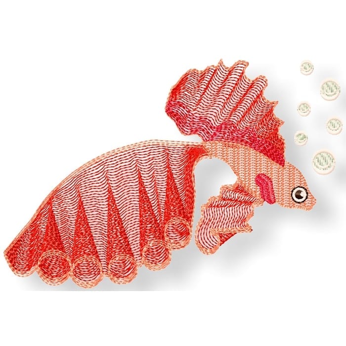 Delicate Goldfish