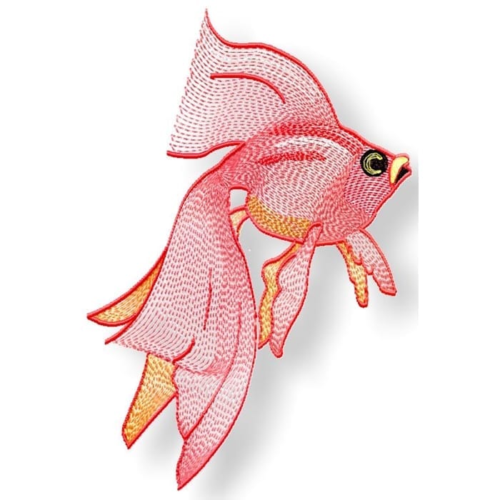 Delicate Goldfish