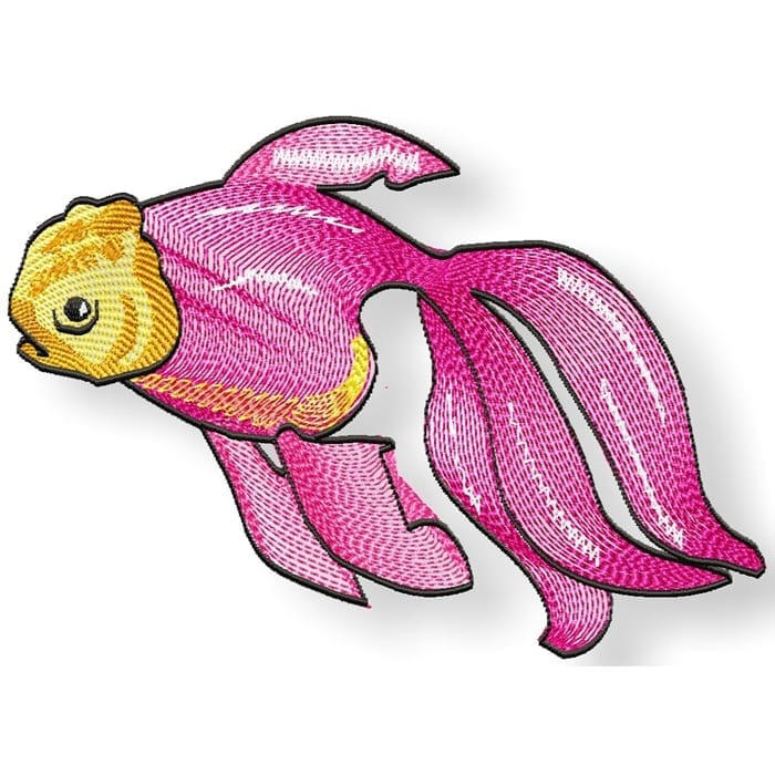 Delicate Goldfish