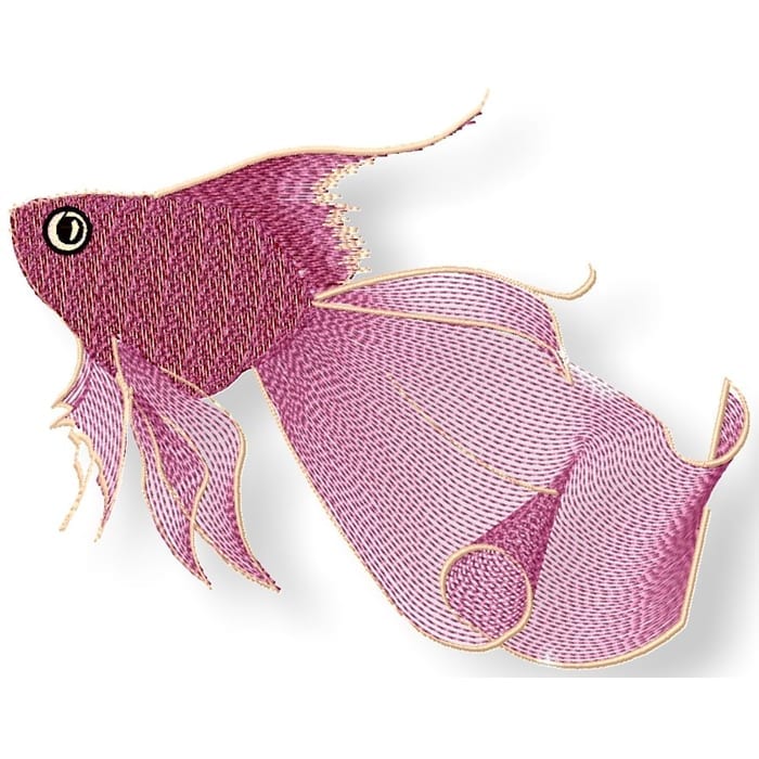 Delicate Goldfish