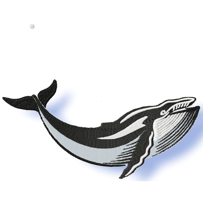 Whales