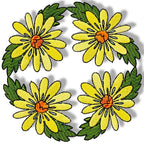 Delicate Borders