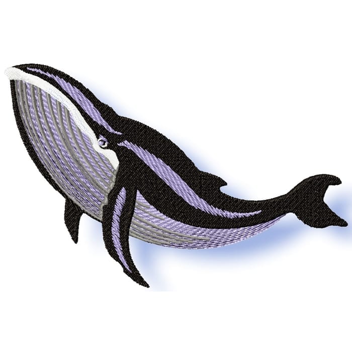 Whales