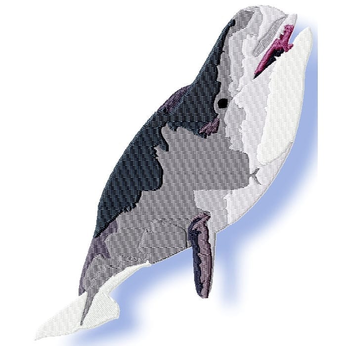 Whales