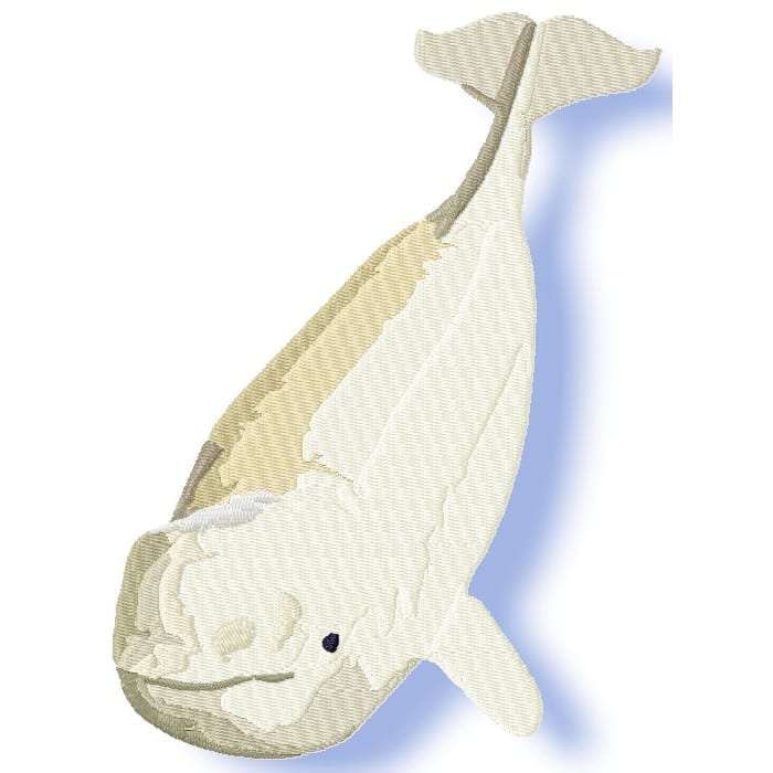 Whales