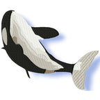 Whales