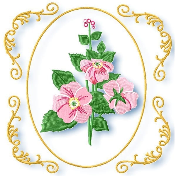 Dogwood Roses